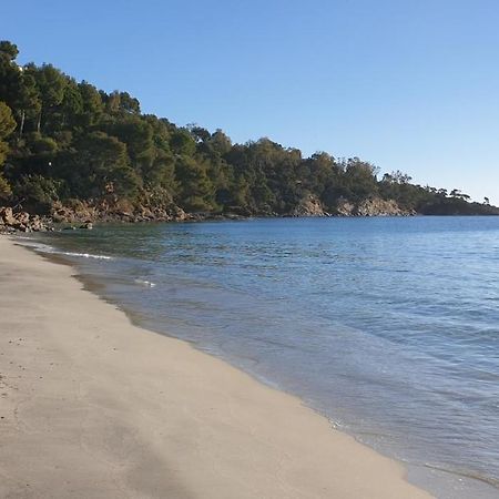 Chambre Independante Avec Jardin Privatif La Londe-les-Maures Εξωτερικό φωτογραφία