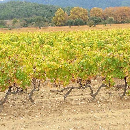 Chambre Independante Avec Jardin Privatif Ξενοδοχείο La Londe-les-Maures Εξωτερικό φωτογραφία