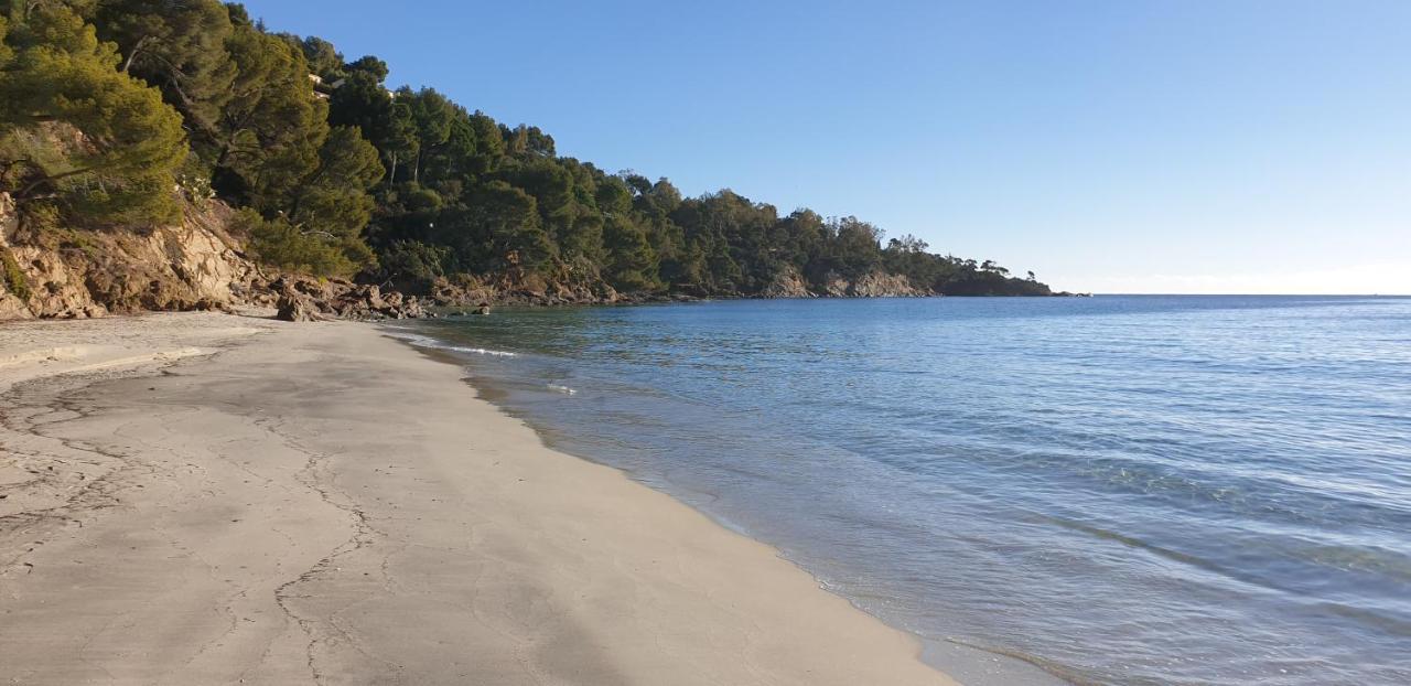 Chambre Independante Avec Jardin Privatif Ξενοδοχείο La Londe-les-Maures Εξωτερικό φωτογραφία