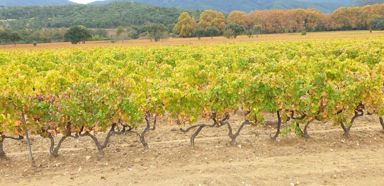 Chambre Independante Avec Jardin Privatif La Londe-les-Maures Εξωτερικό φωτογραφία